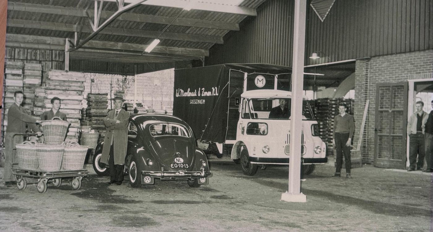 W. Moolenaar & Zonen N.V., Sassenheim